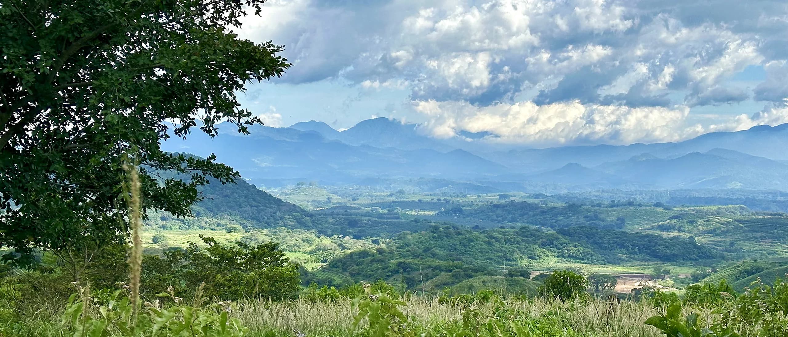 A green valley below mountains, under morning mist